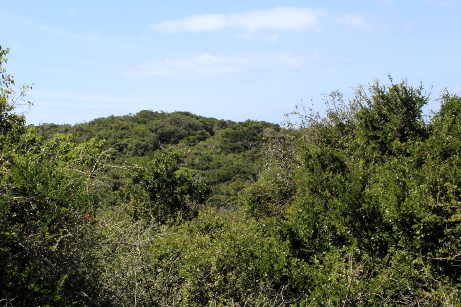 0 Bedroom Property for Sale in Begha Eastern Cape